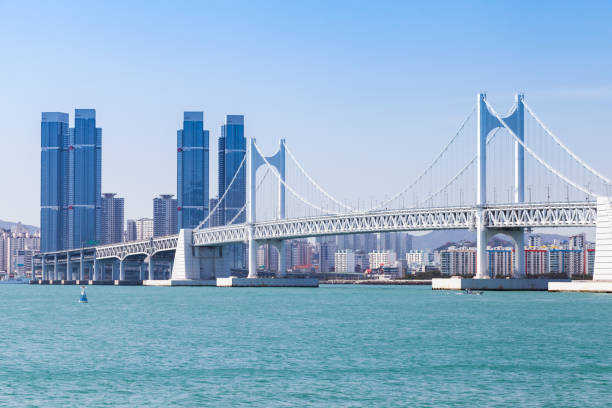 실시간 후기 기반 인기 정보 제공