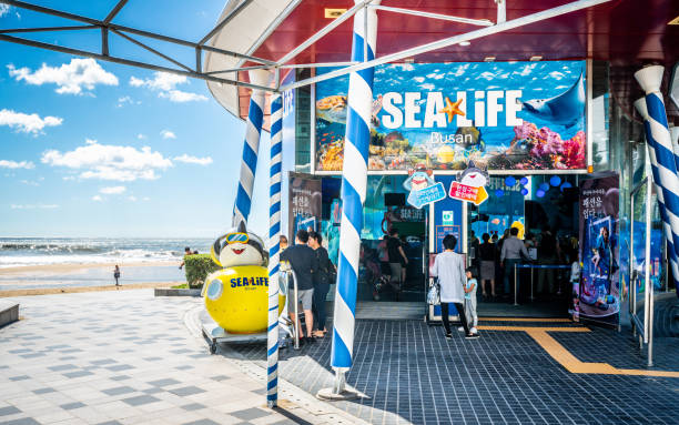 부산오피 재방문율이 높은 이유는 무엇일까