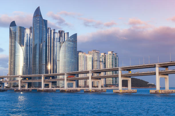 이용자가 경험하게 될 탐색 방식